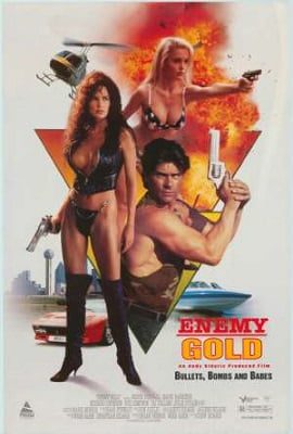 Enemy Gold (1993) Hindi