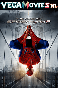 The Amazing Spider Man 2 (2014)