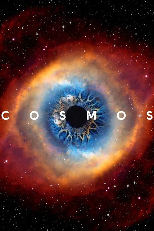 Cosmos A Spacetime Odyssey (2014) Season 1 Hindi Dubbed