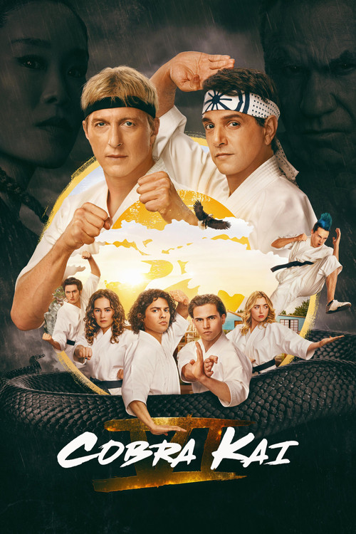 Download Cobra Kai – Netflix Original (2021) Season 3 Dual Audio {Hindi-English} 480p [100MB] | 720p [250MB] WEB-DL